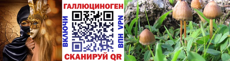 Псилоцибиновые грибы Magic Shrooms  omg ссылка  Находка 